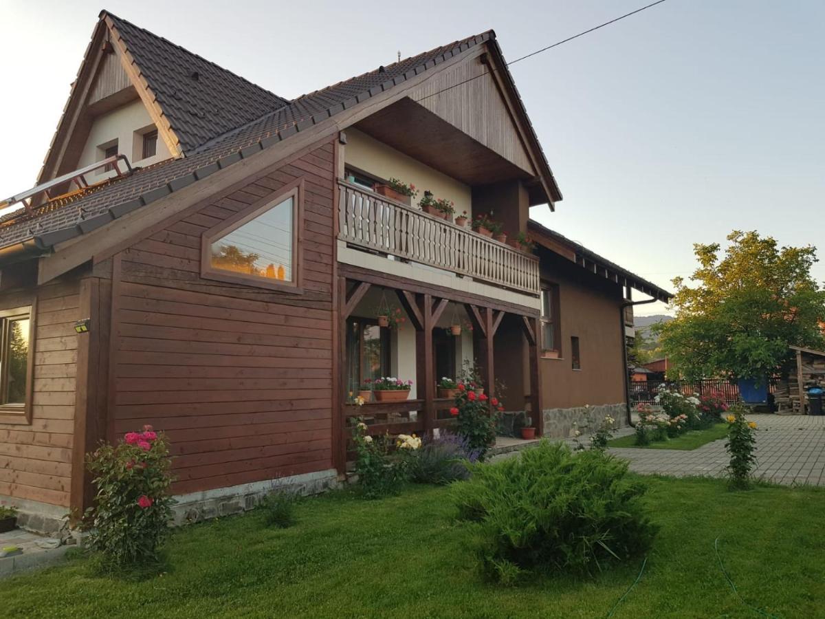 Pensiunea Rares Bistrita Bargaului Экстерьер фото