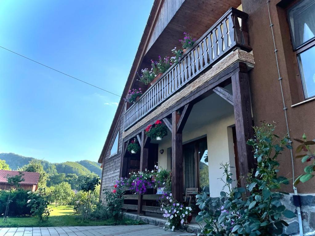 Pensiunea Rares Bistrita Bargaului Экстерьер фото