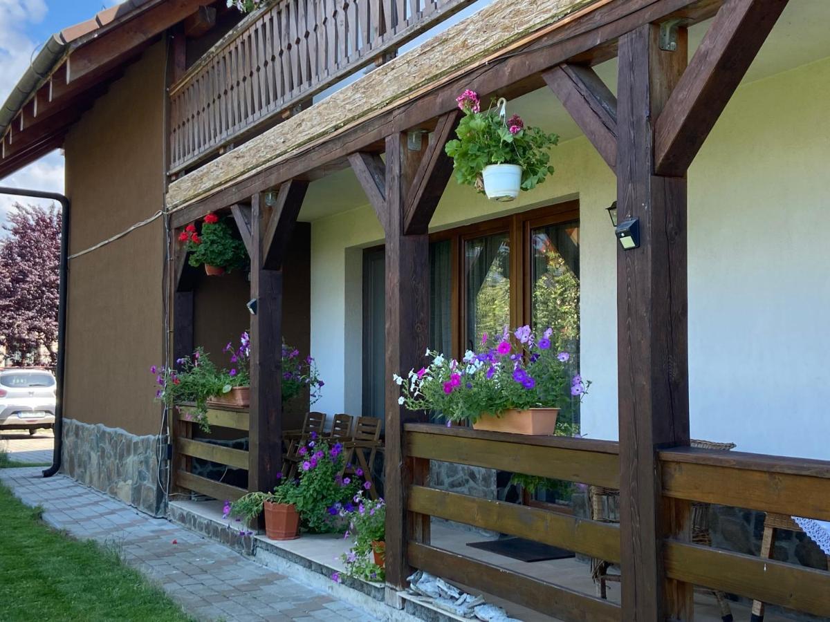 Pensiunea Rares Bistrita Bargaului Экстерьер фото